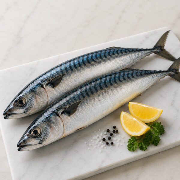 Scottish Mackerel (Individual)